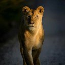 ����� ������:) �� ������� ���� ����������