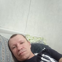 ���� ��������, �����-���������, 46 ��� - ��������� 2 ����� 2024
