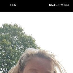 , 53, 