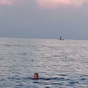 ���� ������, ������, 51 ��� - ��������� 27 ������ 2026 � ������ ���� ����������