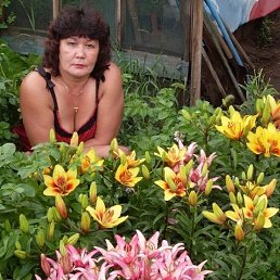 ���� ����, �������, 65 ��� - ��������� 17 ���� 2025