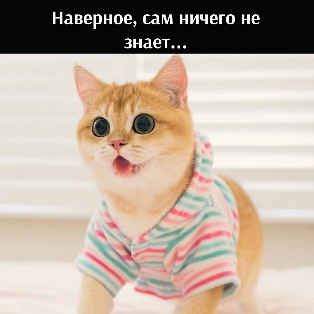       - 1  2025  12:18 - 3