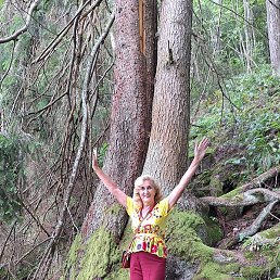 ������, ����, 71 ���