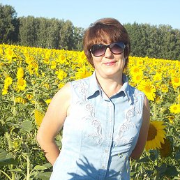 ��������, ������, 52 ����