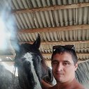 ���� ����, ������, 29 ��� - ��������� 4 ���� 2025 � ������ ���� ����������