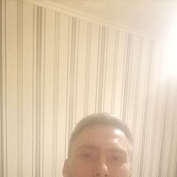 , 37, 