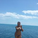 ���� �����, �����-���������, 40 ��� - ��������� 2 ���� 2024 � ������ ���� ����������