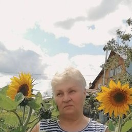 , 71, 