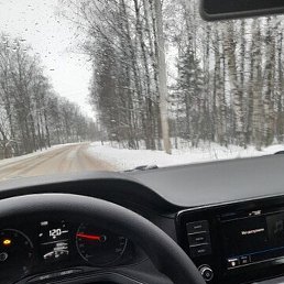 Sherbek, �����-���������, 31 ���