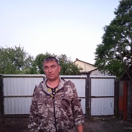 , 37, 