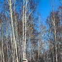 ���� ������, �����������, 62 ���� - ��������� 30 ���� 2025