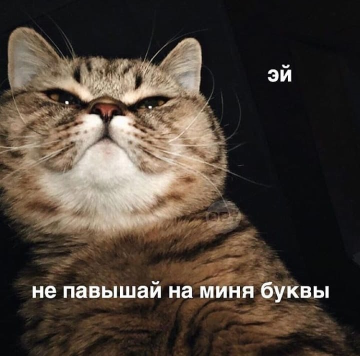    - 27  2024  17:17