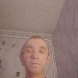  , 46 , 