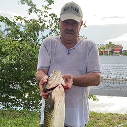 LEONID, 60 ���, ������