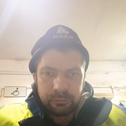 �����, 41 ���, ����