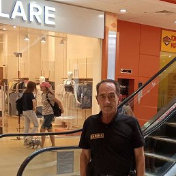 ��������, �����-���������, 65 ���