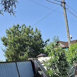 �����, �����-���������, 61 ���