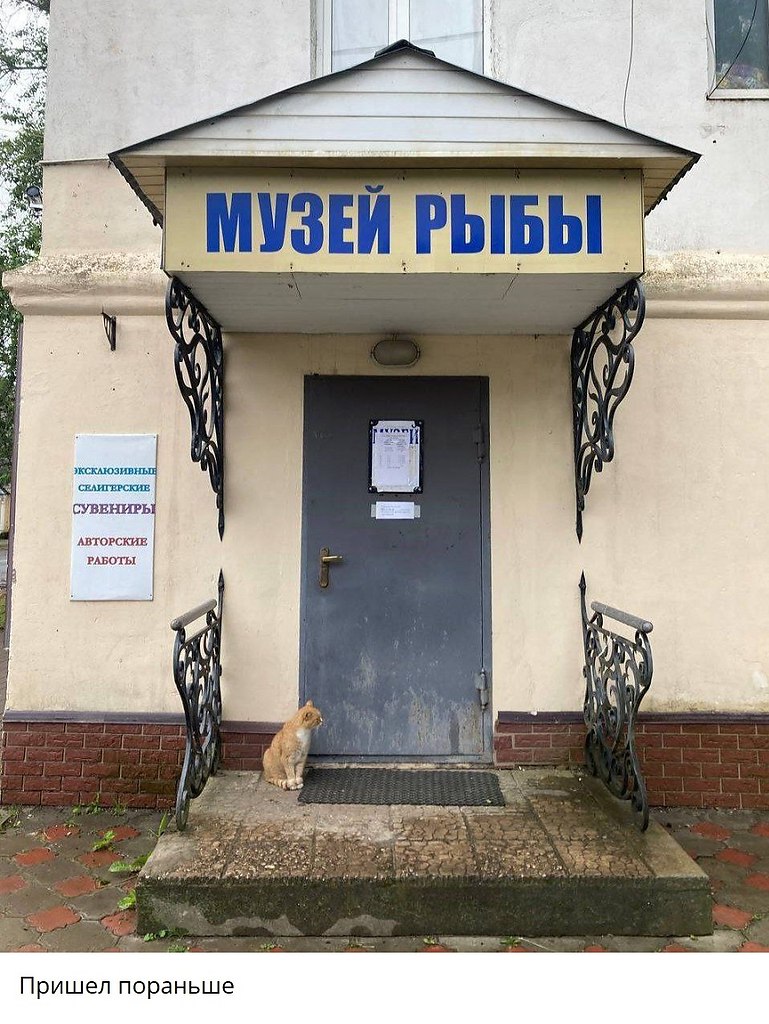   - 31  2025  21:29