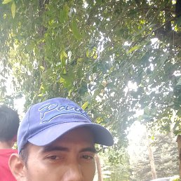 Andre, �����������, 40 ���