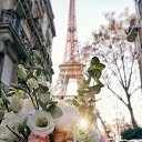 ���� ����, ������, 43 ���� - ��������� 6 �������� 2025 � ������ ���� ����������