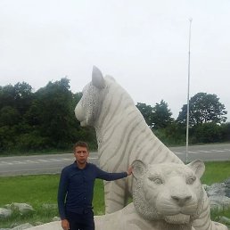 ����, ������, 40 ���