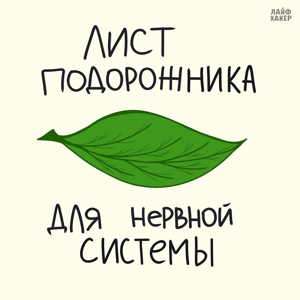 ��� ����� ���� ����� ��� ��� ������ �����.