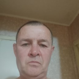 , 51 , 