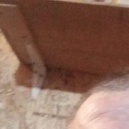 �������, 41 ���, ������