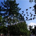 ���� ������, ����������� - ��������� 4 ������� 2025 � ������ ���� ����������