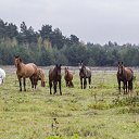 ���� �����, ������, 24 ���� - ��������� 23 ������� 2023 � ������ ���� ����������