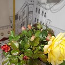 ���� Natalie, �����, 52 ���� - ��������� 26 ������� 2025 � ������ ���� ����������
