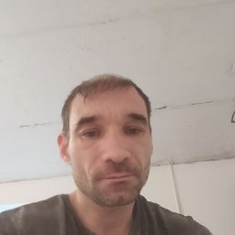 ����, 41 ���, ������