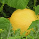 ���� �.�., ���� - ��������� 5 �������� 2024 � ������ ������ 2024�