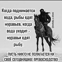 ���� ������ ( ����), �������, 54 ���� - ��������� 23 ������ 2024