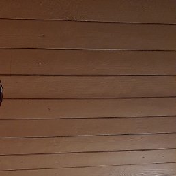 �������, �����-���������, 36 ���