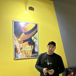 �������, 41 ���, ���������