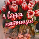 ���� ������, �������� - ��������� 20 ����� 2026 � ������ ������ ��������