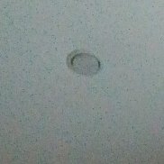 ������� ����������, 41 ���, ������