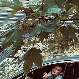 ������, ����, 28 ���