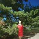 ���� ������, �����������, 66 ��� - ��������� 5 ������� 2024 � ������ ���� ����������