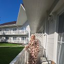 ���� �����, �������, 48 ��� - ��������� 13 �������� 2025 � ������ ���� ����������