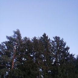 , , 51 