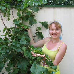 , 37 , 