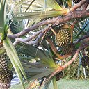 ����� ��� ����� �����, ����� ���� ������, �� ���� ��� ��� � �������, � �����-�� ����� �����!.. �� ������� ���� ����������