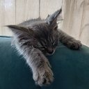 ���� ������, �����������, 62 ���� - ��������� 3 �������� 2024 � ������ ���� ����������