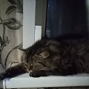 ���� ���������, �������� , 46 ��� - ��������� 12 ������ 2025 � ������ ������ ��������