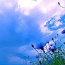 ���� ������, ��������, 104 ���� - ��������� 30 ������ 2024 � ������ ���� ����������