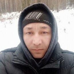 ���������, ����, 41 ���