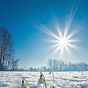 ���� Victor, ������ - ��������� 7 ����� 2026 � ������ ������ ��������