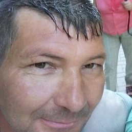 ���������, �����, 44 ����